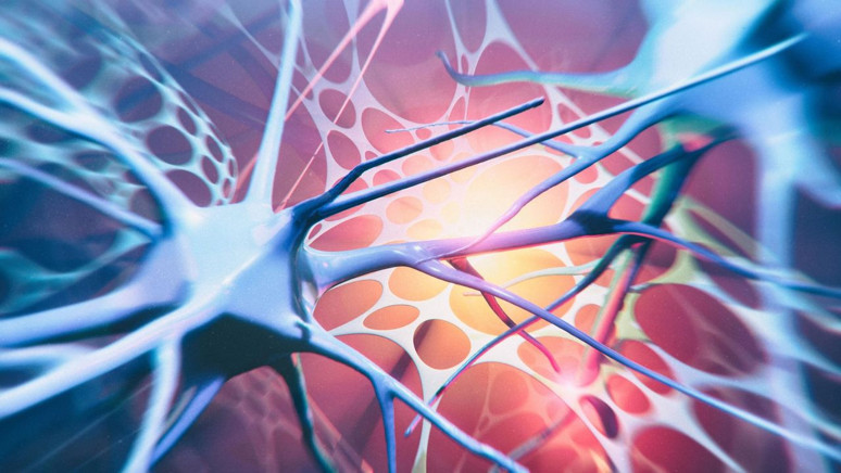 Parkinson hastalığında ölen nöronlar kurtulabilir - Resim : 1