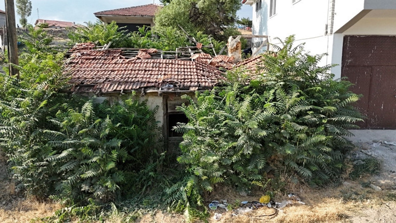 Çankırılılar bunu konuşuyor! Keloğlan Çankırılı mı? İşte o iddia - Resim : 1