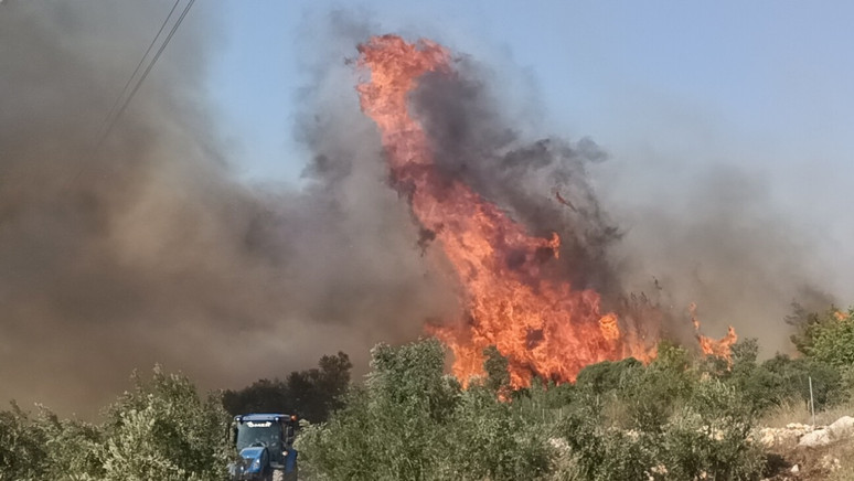 Tarım ve Orman Bakanlığı duyurdu! Binlerce personel alınacak işte şartlar - Resim : 1