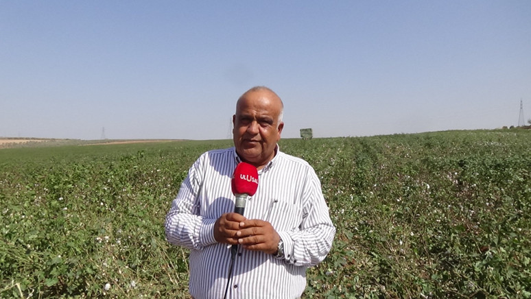 Amik Ovası’nda pamukçu 40 lira taban fiyatı istiyor - Resim : 1