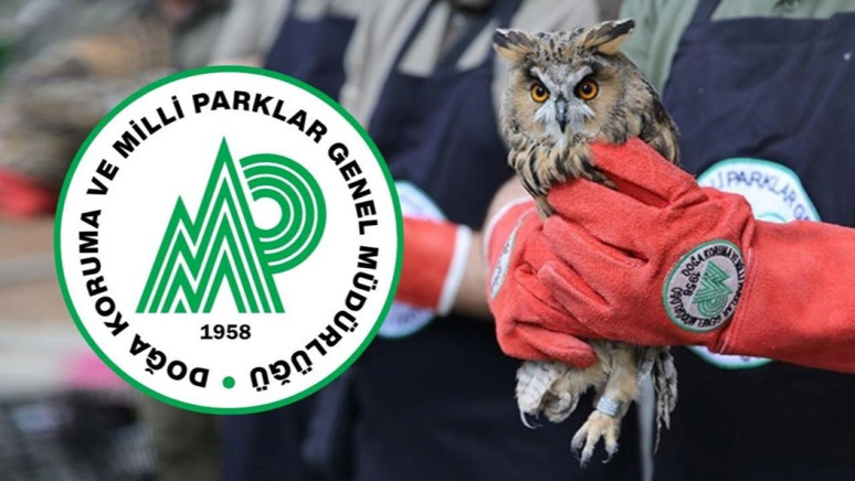 DKMP personel alımı 2025! Doğa Koruma ve Milli Parklar Genel Müdürlüğü personel alımı şartları neler? - Resim : 1