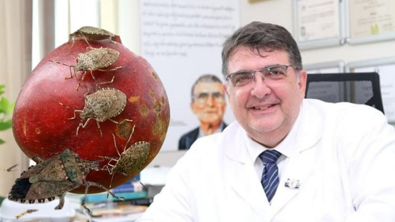 Altınordu Ziraat Odası Başkanı Atakan Akça: Topluca önlem alınmazsa kokarca salgını 10 yıl sürebilir - Resim : 4