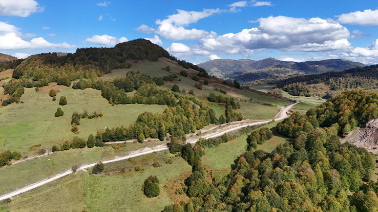 Ordu'nun gözdesi oldu! İşte Uluvahta Yaylası - Resim : 1