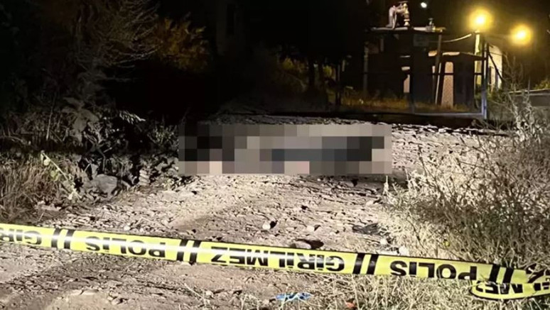 Aydın'da kan donduran cinayet...Üniversiteli Teslime, orman yolunda ölü bulundu - Resim : 2