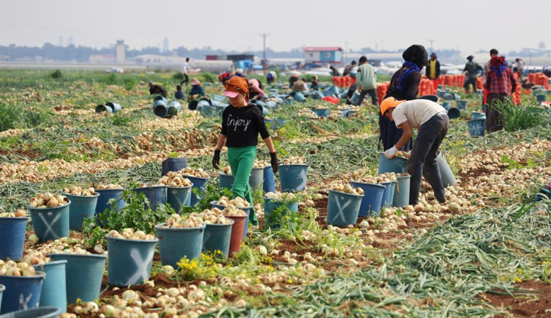 Türkiye'nin en önemli üretim merkezlerinden Adana'da 7 liradan satılıyor - Resim : 2