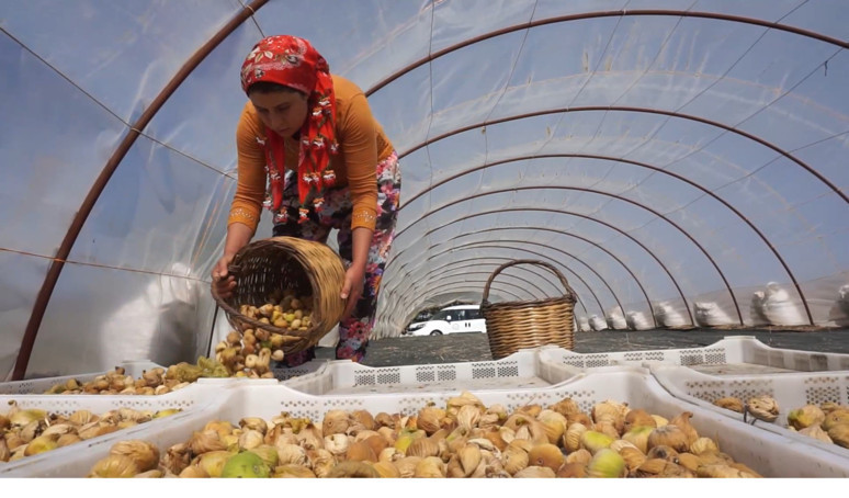 33 günde 90 bin TL kazandırıyor! İzmir'de işçilere rekor maaş - Resim : 1