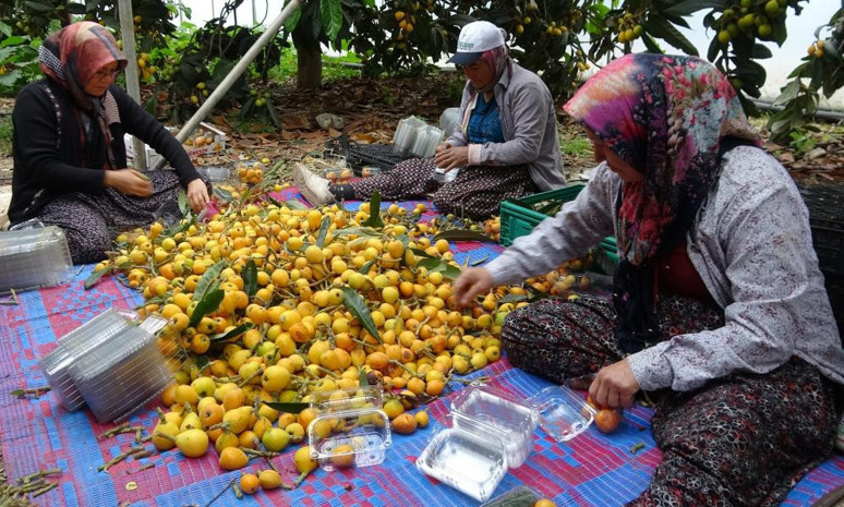 Türkiye'de en çok Mersin'de üretilip Dubai ve Irak'a gönderiliyor! 50 liradan satılıyor - Resim : 2