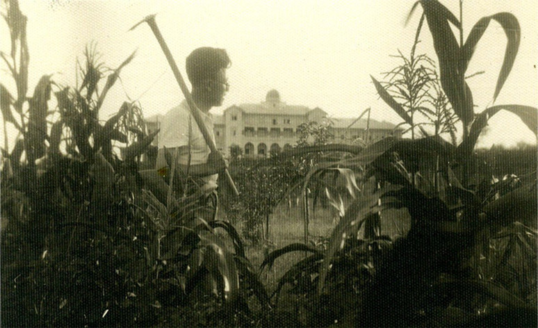 Üniversite tercihlerinde başarı - Resim : 1