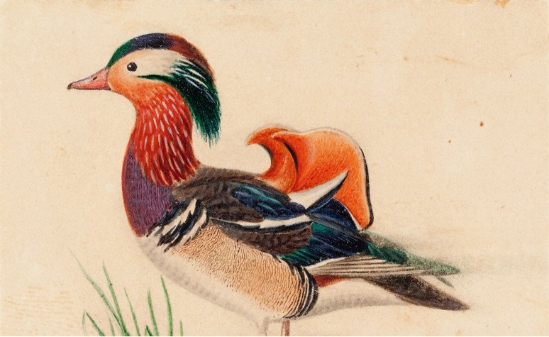 Çin Sanatını Şekillendiren Doğal Miras - Resim : 7