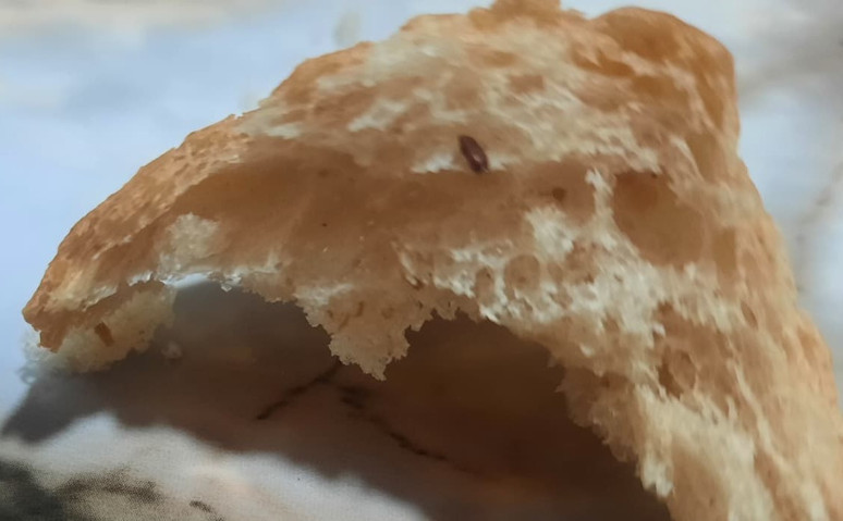 Halk Ekmek'te skandal: Ekmekten fare dışkısı ve un kurdu çıktı! - Resim : 2