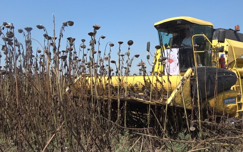 OSMANİYE'DE ÜRETİLİYOR