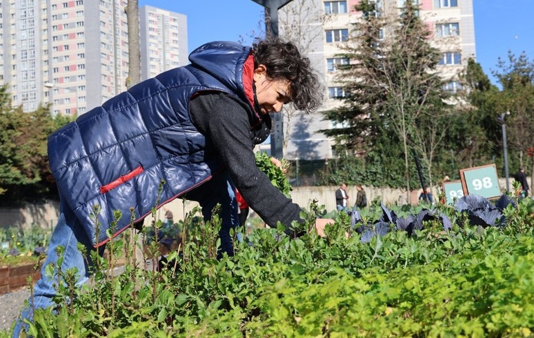 18 yaş üzerine ücretsiz! İstanbul'da ikinci kez uygulanıyor - Resim : 1