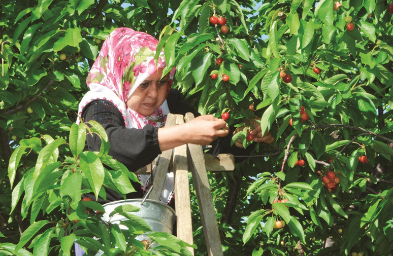 Yerli malı yurdun malı mazide kalmamalı - Resim : 3