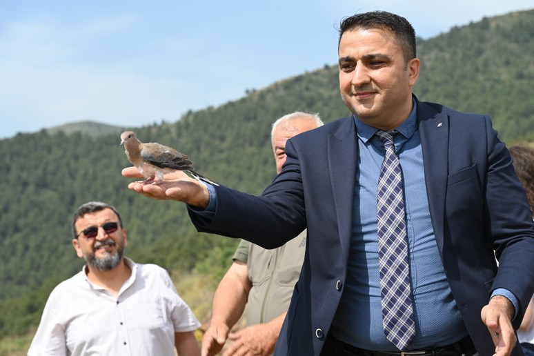 Yaralı kuşlar tedavi sonrası doğaya salınıyor - Resim : 2