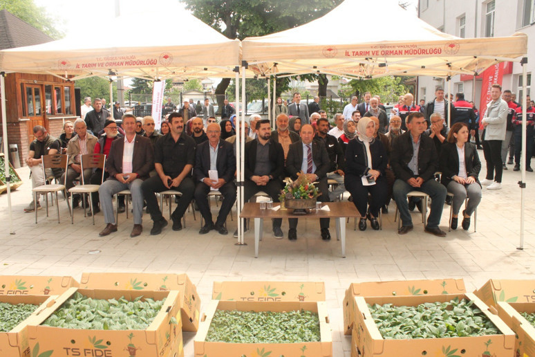 Düzce'de 1.5 milyon TL değerindeki fide ücretsiz dağıtıldı - Resim : 2