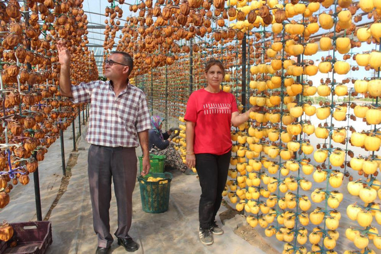 Manisa'nın ilk 5 aylık tarım ihracatı bakın kaç milyon dolar oldu - Resim : 2