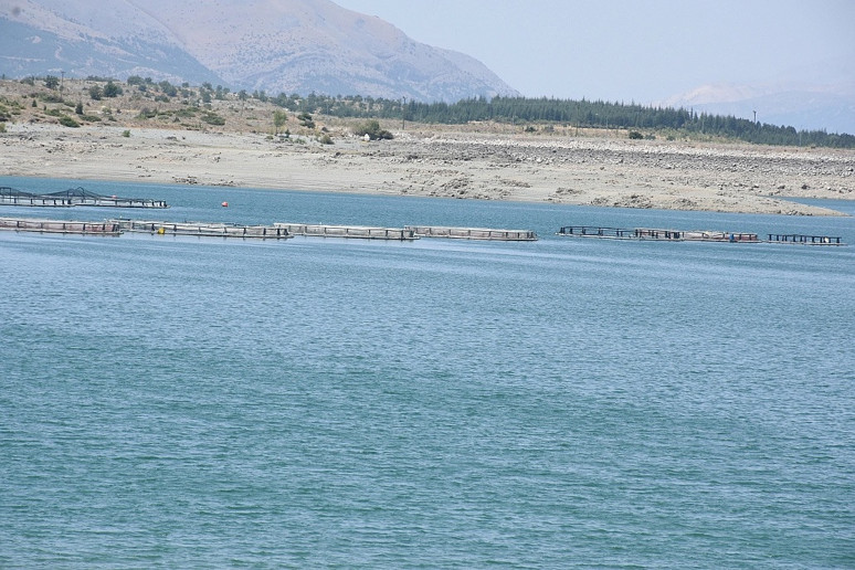 Malatya'da devlet desteğiyle kuruldu