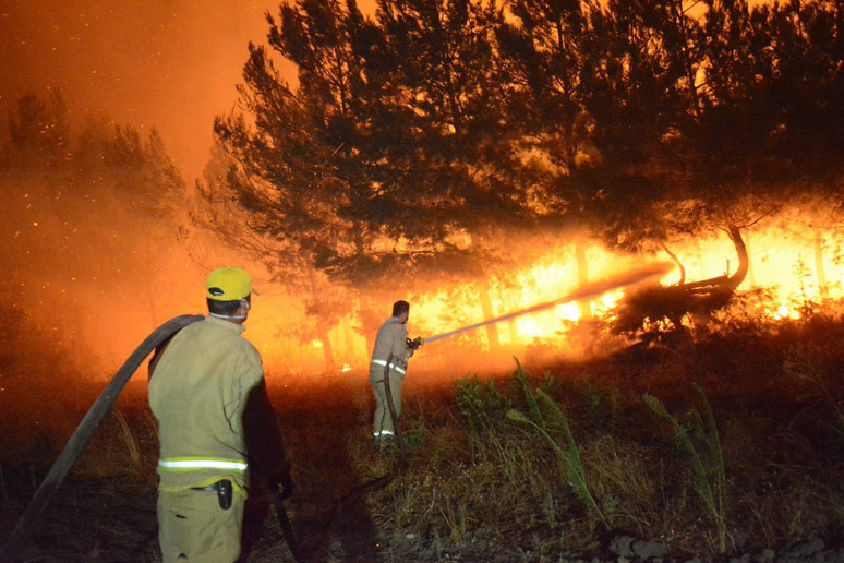 Çanakkale yangını kontrol altına alındı! Düşmanın ele geçiremediği tabyayı yangın da ele geçiremedi - Resim : 2