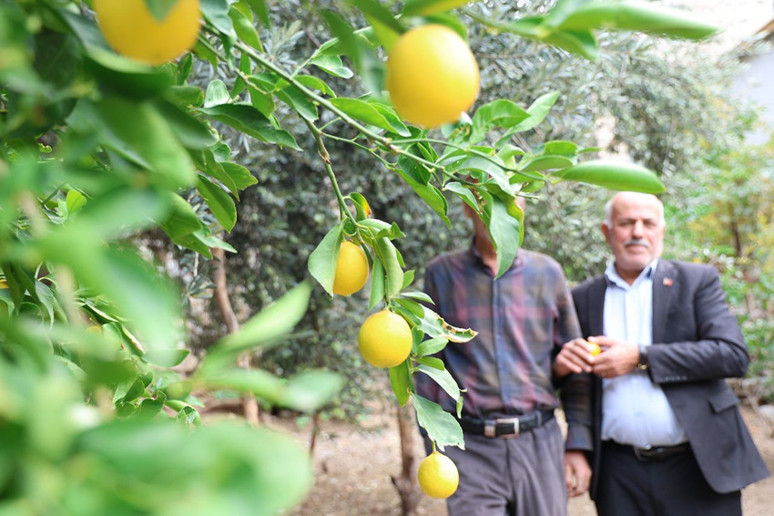 Türkiye'nin en verimli köyü orada! Ne ekersen onu biçiyorsun - Resim : 1