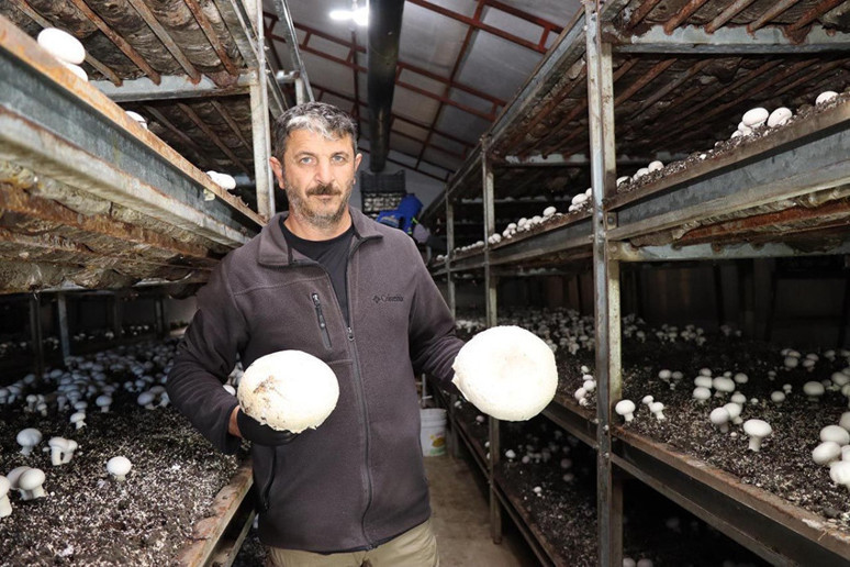 İstanbul'da yöneticiliği bıraktı bu işe başladı! Taleplere yetişemiyor - Resim : 1