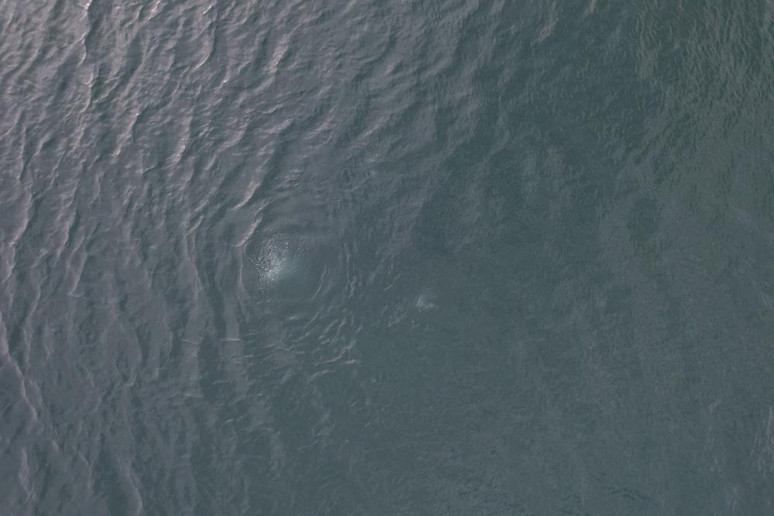 Sapanca Gölü'nde korkutan görüntü! - Resim : 1