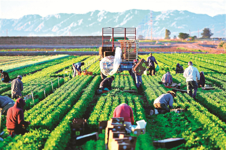 Yerli malı yurdun malı mazide kalmamalı - Resim : 1