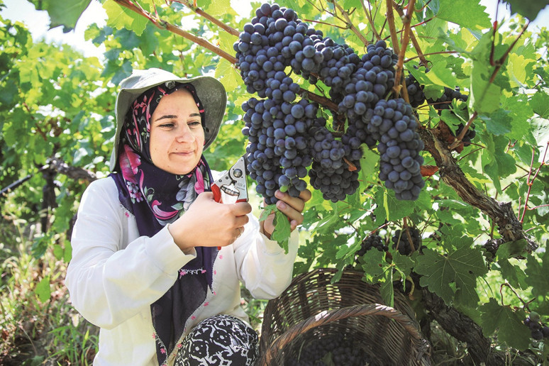 Yerli malı yurdun malı mazide kalmamalı - Resim : 2