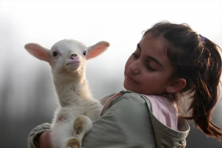 A’dan Z’ye Halkçı Belediye - Resim : 5