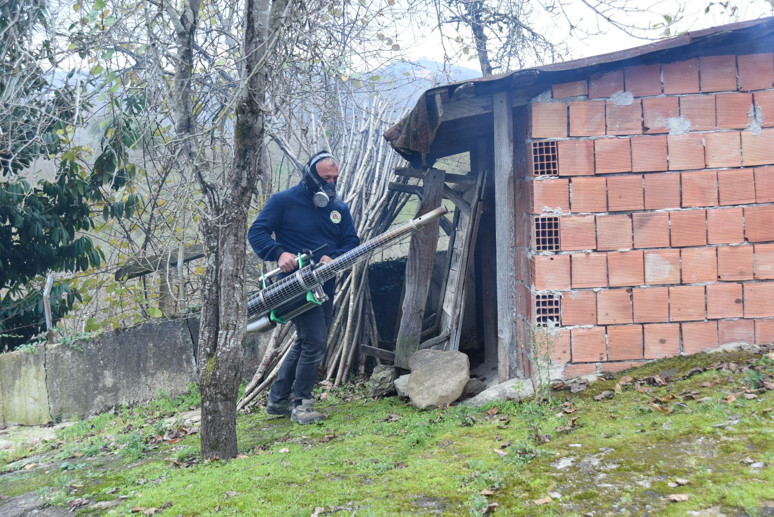 Kahverengi kokarcayla topyekûn mücadele talebi - Resim : 2