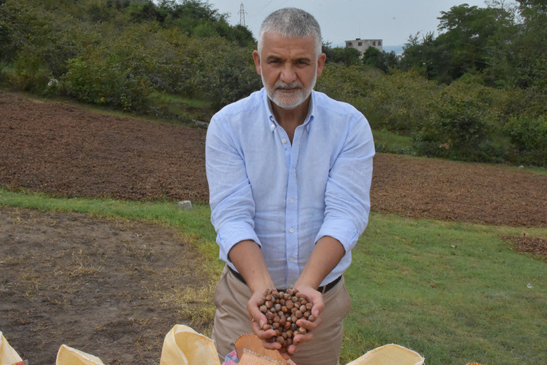 Kahverengi kokarcayla topyekûn mücadele talebi - Resim : 3