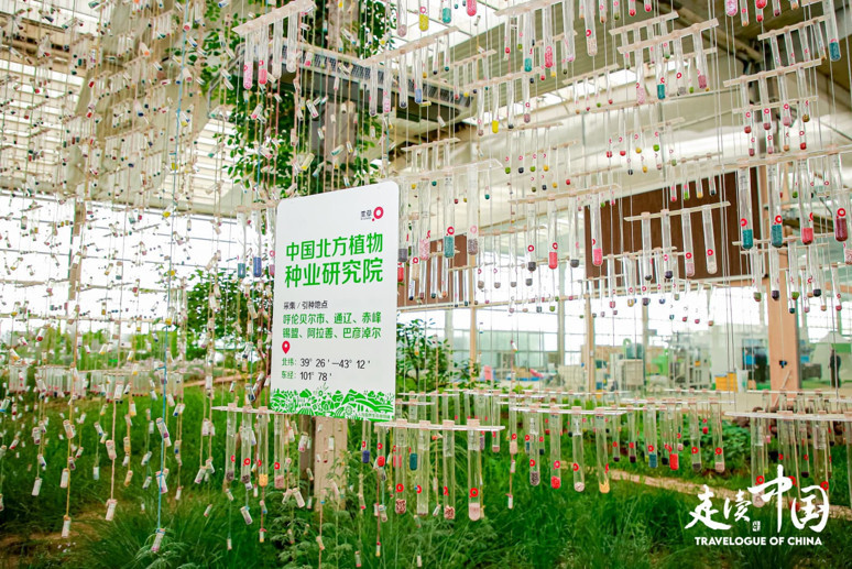 İnovasyon ve entegrasyonda iddialı şehir: Hohhot - Resim : 4