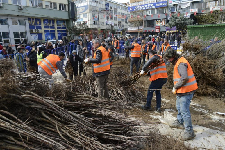Isparta'da ücretsiz dağıtılacak! Toplam 108 bin adet - Resim : 1