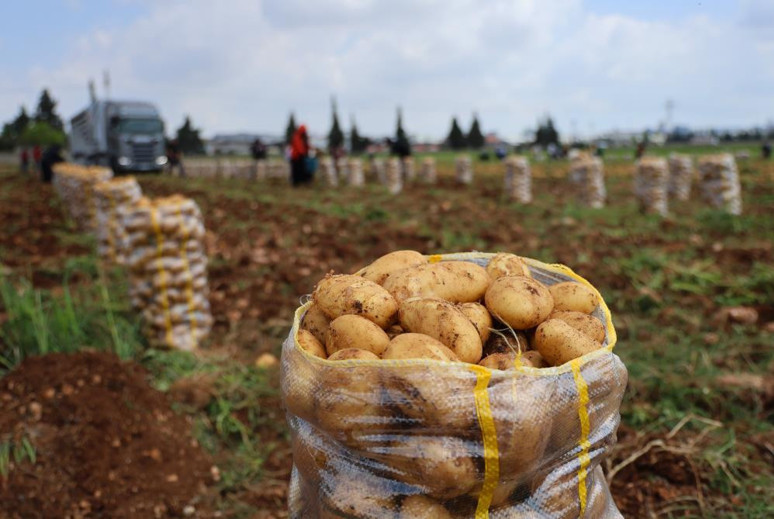 Türkiye’nin en önemli merkezi! Adana'dan Azerbaycan'a gidiyor - Resim : 3