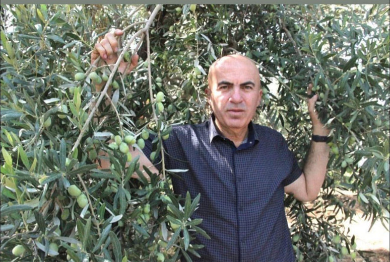 Her taraf zeytin kokuyor! - Resim : 4