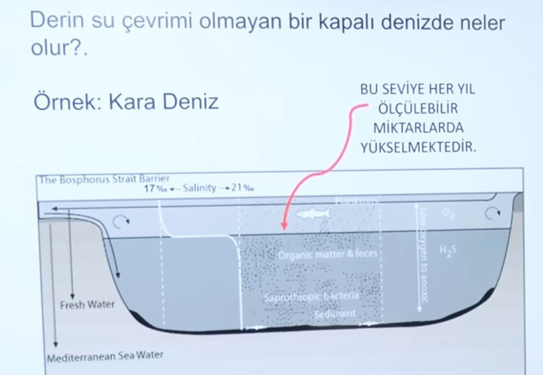 Karadeniz’in jeolojik evrimi - Resim : 1