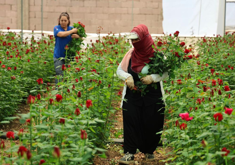 Adana'da 5 liradan satılıyor! - Resim : 1