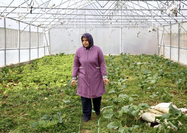 İstanbul'dan gelip Giresun'da kurdu! Devlet desteğiyle bugünlere geldi - Resim : 1