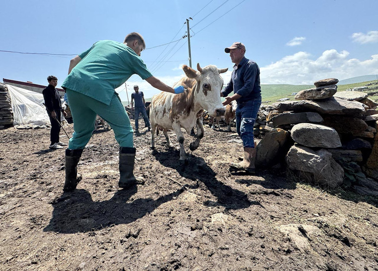 Binlerce hayvan telef oldu! ABD’nin sınırımızdaki şap laboratuvarına dikkat - Resim : 2