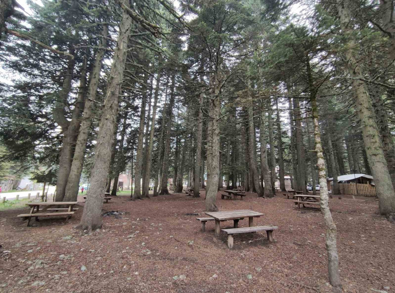 580 liraya harika bir tatil imkanı! 1 Haziran'da başlıyor, 30 Eylül'e kadar sürecek - Resim : 1