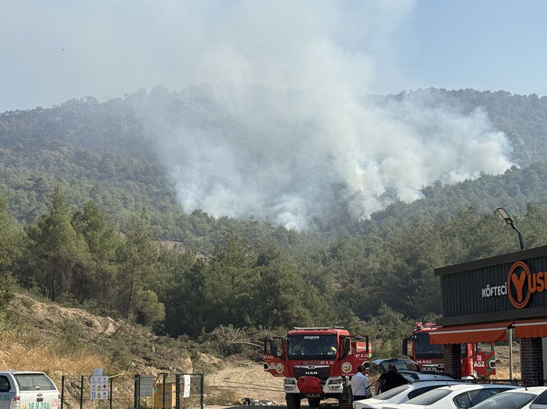 61 orman yangınında 23 şüpheli gözaltında - Resim : 3