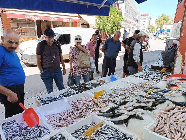 Tezgahların yıldızı hamsi 70 TL'den satılıyor - Resim : 1