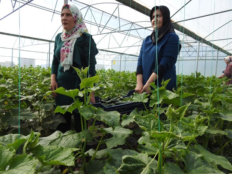 Gaziantep'te üretiliyor! Günlük 500 kilo ürün - Resim : 1
