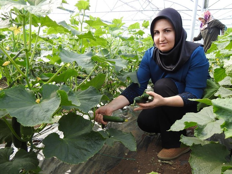 Gaziantep'te üretiliyor! Günlük 500 kilo ürün - Resim : 2