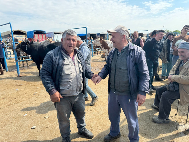 Türkiye'nin en ucuz kurbanlıkları o şehirde! 2025 kurban fiyatları dikkat çekti, pazarda hareketlilik başladı - Resim : 1