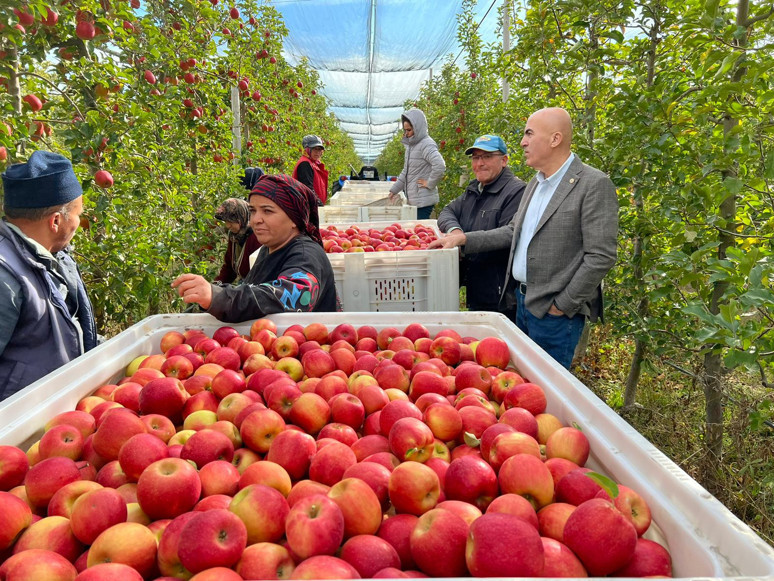 Elmanın merkezinde kayıp yüzde 90 - Resim : 1