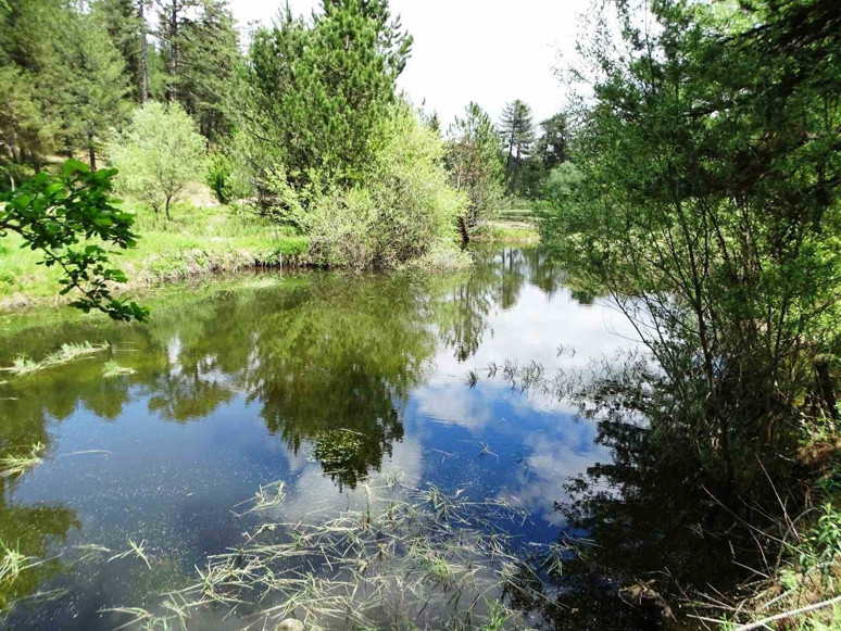Bu gölet Kütahya'da yer alıyor