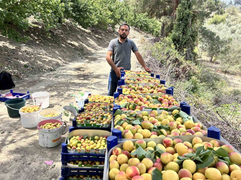 Hatay’ın Arsuz ilçesinde üretiliyor