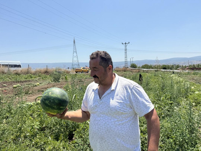 İstanbul'da markette yüzlerce lira! Tokat'ta dönümü 10 bin TL - Resim : 1