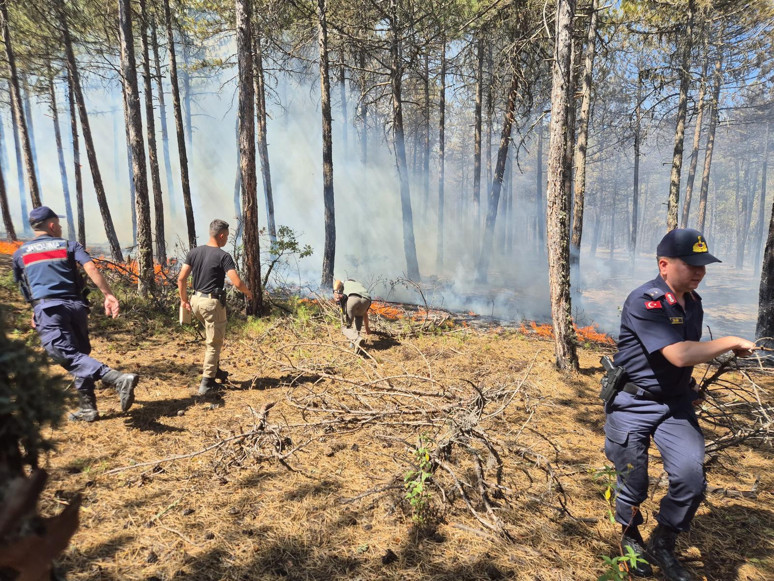 61 orman yangınında 23 şüpheli gözaltında - Resim : 2