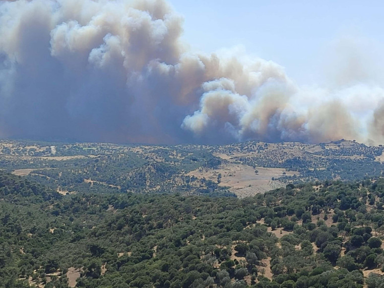 Çanakkale yangınını çıkaranlar belli oldu! - Resim : 1